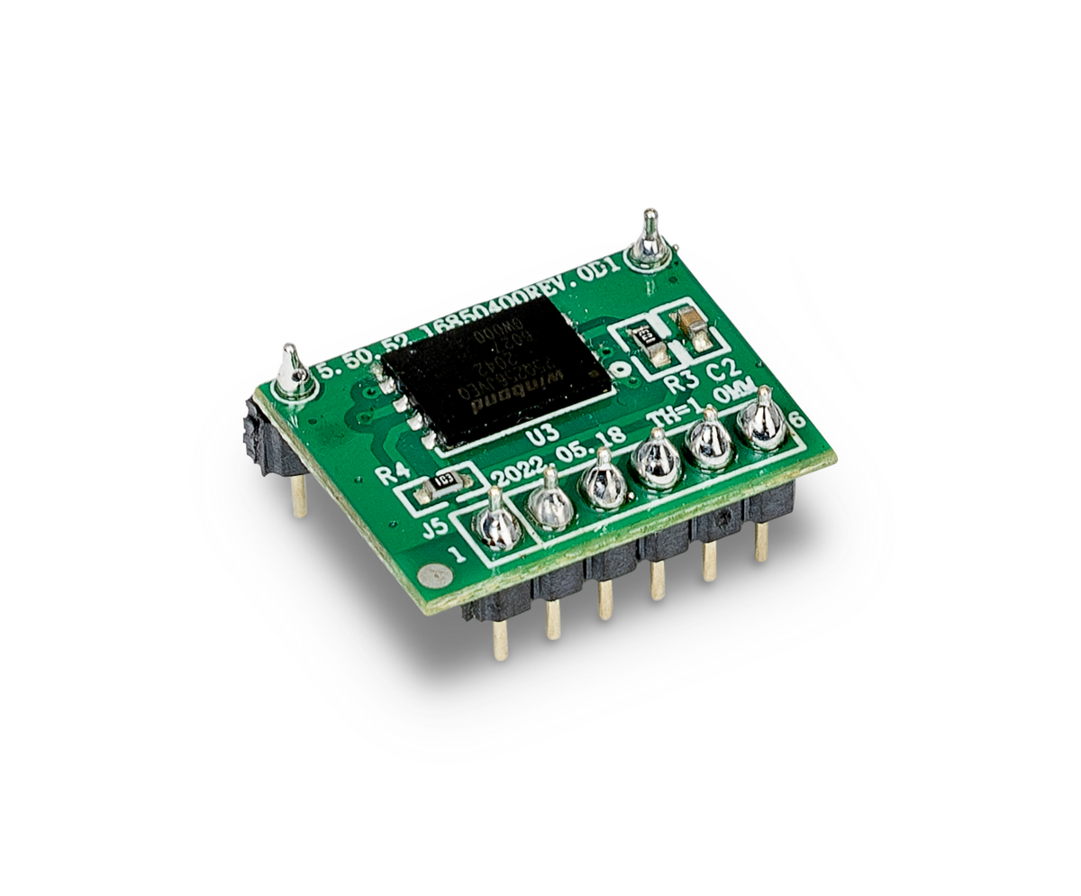 Memory module (alibi memory)