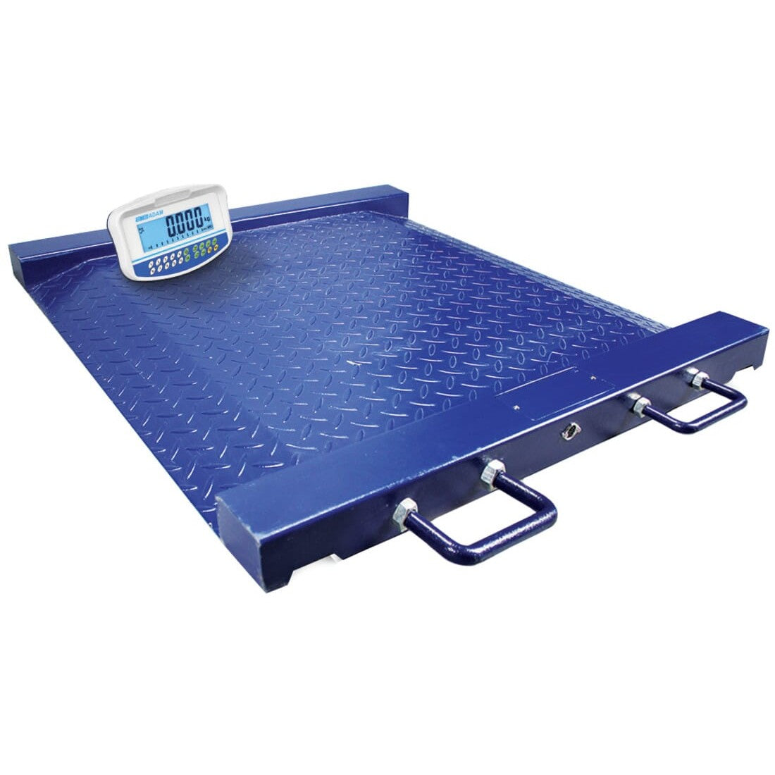 Adam PTM Drum Platform Scales with GK-Plus Checkweighing Indicator