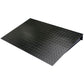 OHAUS Ramp 1000mm Painted DF-D1